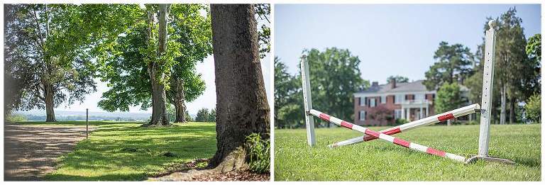 RoneyfieldPhotography_RokebyMansion_0012