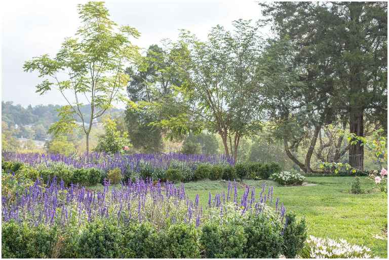 RoneyfieldPhotography_MaternityWithBridgett_0004